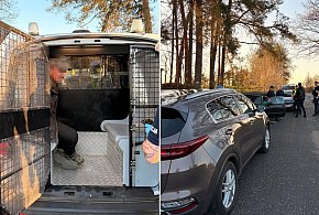 Gmina Więcbork: Nietrzeźwy kierowca z dożywotnim zakazem kierowania pojazdami