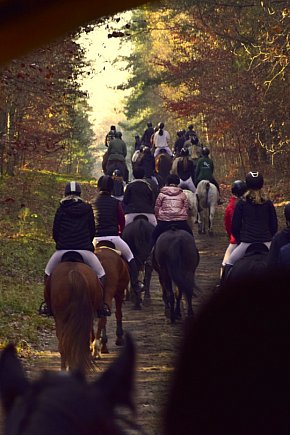 Gmina Więcbork: Hubertus w Sypniewie-4091