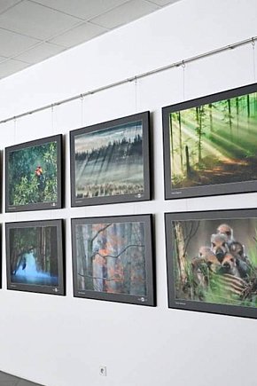 Sztuka Natury 2025 w Toruniu-4160