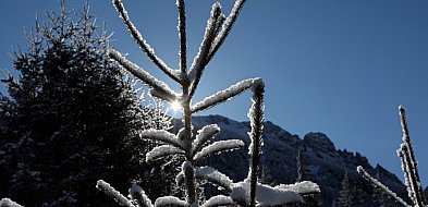 Czekają nas mroźne i słoneczne święta-32606