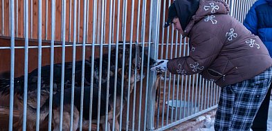 Wojewoda Kujawsko-Pomorski zdecydowanie w sprawie bezpieczeństwa zwierząt w schron