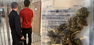 Człuchów: Kolejne narkotyki zabezpieczone