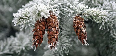 Ostrzeżenie pierwszego stopnia dla miejscowości Więcbork, Sępólno Krajeńskie i dla