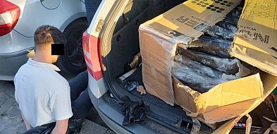 11,5 kilograma marihuany i blisko 800 tysięcy złotych przejęte przez bydgoskich po