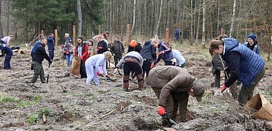 Wielkie sadzenie lasu w Adamowie. Służby, samorządowcy i młodzież wspólnie dla nat