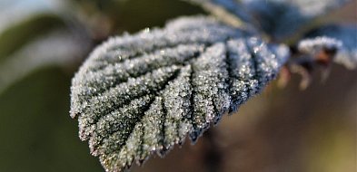 Ostrzeżenie pierwszego stopnia dla powiatu sępoleńskiego (Więcbork, Sępólno Krajeń