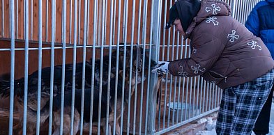 Wojewoda Kujawsko-Pomorski zdecydowanie w sprawie bezpieczeństwa zwierząt w schron