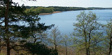 Sępólno Krajeńskie: Są pieniądze na rewitalizację lasku miejskiego