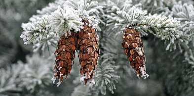 Ostrzeżenie pierwszego stopnia dla miejscowości Więcbork, Sępólno Krajeńskie i dla
