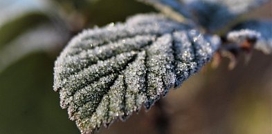 Ostrzeżeniedla powiatu sępoleńskiego (Więcbork, Sępólno Krajeńskie, Kamień Krajeńs