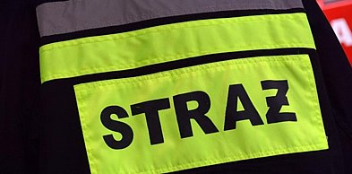 Strażacy opanowali pożar w lesie przy drodze S10 koło Bydgoszczy