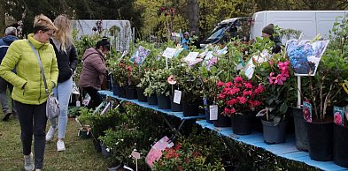 Sukces mimo chłodu. X Powiatowe Targi Ogrodniczo-Rolnicze za nami