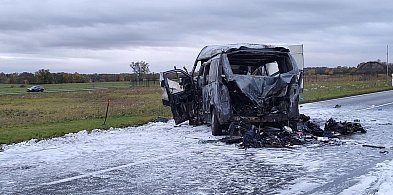 Nakło nad Notecią: Śmiertelny wypadek na DK-10 - ustalenia Policji-31208