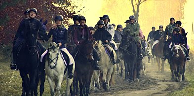 Gmina Więcbork: Hubertus w Sypniewie-31538