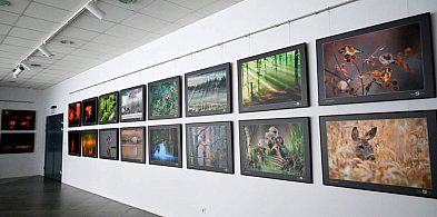 Sztuka Natury 2025 w Toruniu-32070