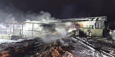 Pożar budynku inwentarskiego w miejscowości Topola gmina Łobżenica-33079