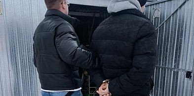 Miedziane przewody, siekiera i amfetamina: kryminalna historia-33277