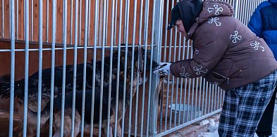 Wojewoda Kujawsko-Pomorski zdecydowanie w sprawie bezpieczeństwa zwierząt w schron