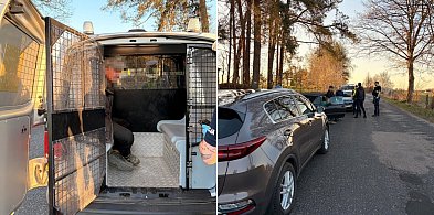 Gmina Więcbork: Nietrzeźwy kierowca z dożywotnim zakazem kierowania pojazdami