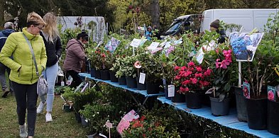 Sukces mimo chłodu. X Powiatowe Targi Ogrodniczo-Rolnicze za nami