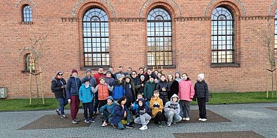Blisko 8 tysięcy krokusów zasadzono na Rynku w Krajence-31137