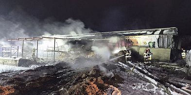 Pożar budynku inwentarskiego w miejscowości Topola gmin-33079