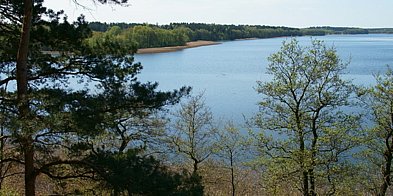 Sępólno Krajeńskie: Są pieniądze na rewitalizację lasku