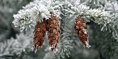 Ostrzeżenie dla miejscowości Więcbork, Sępólno Krajeńsk
