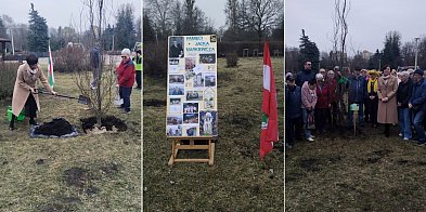 Piła: Jacek ma swoje drzewko