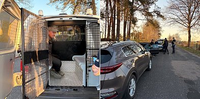 Gmina Więcbork: Nietrzeźwy kierowca z dożywotnim zakaze