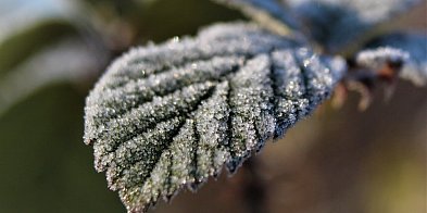 Ostrzeżenie dla powiatu sępoleńskiego (Więcbork, Sępóln