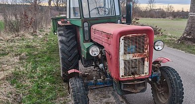 Powiat człuchowski: Ursus „udający” Zetora. 59-latek odpowie za przestępstwo