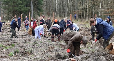 Wielkie sadzenie lasu w Adamowie. Służby, samorządowcy i młodzież wspólnie dla nat
