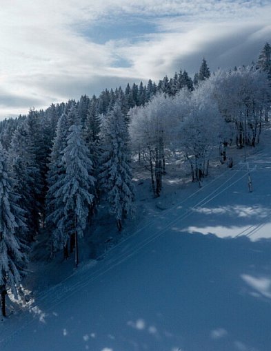 W niedzielę zaczyna się astronomiczna zima-32506