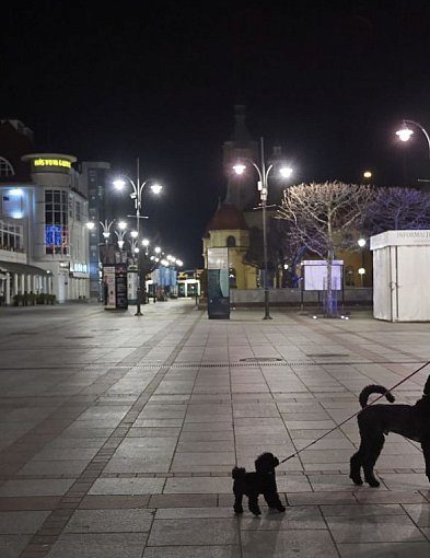 Dramatyczne dane GUS o depopulacji: ZMP apeluje do rządu o pilne działania-32567