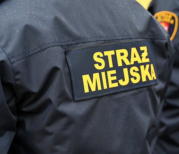 Zapuka strażnik, zapłacisz karę. Ruszyły kontrole w całej Polsce-30853