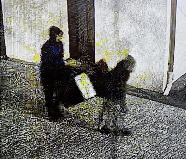 Wysoka: Ukradli kościelną skarbonę-31523