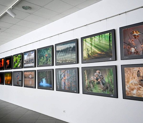 Sztuka Natury 2025 w Toruniu-32070