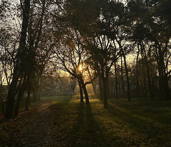 Nadchodzi najkrótszy dzień w 2025 roku. Sprawdź, kiedy przypadnie-32507