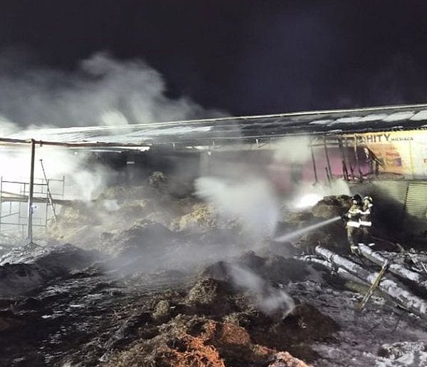 Pożar budynku inwentarskiego w miejscowości Topola gmina Łobżenica-33079