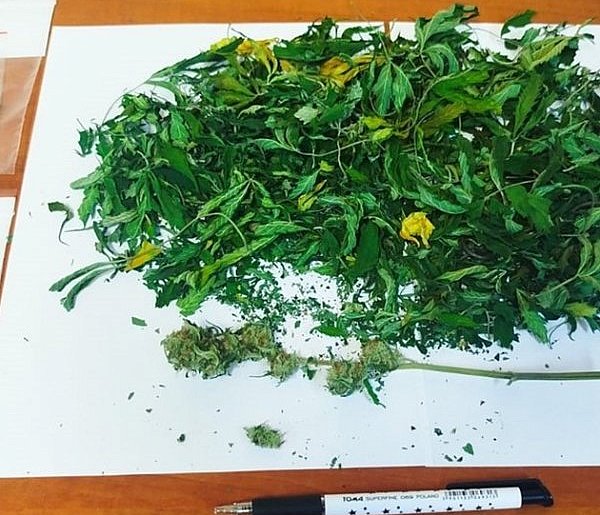 Złotów: W mieszkaniu ukrył narkotyki, a w specjalnej szafie uprawiał konopie-33349