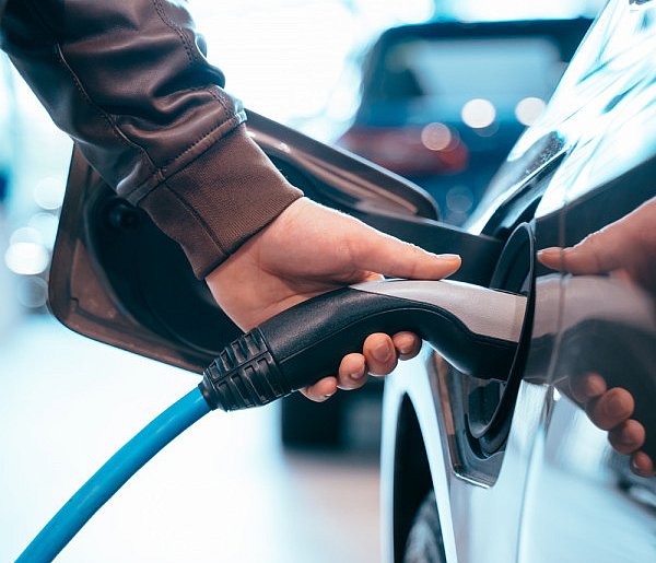 Coraz częściej dochodzi do takich kradzieży. Powody zaskakują-33378