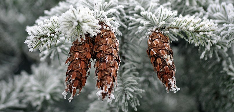 Ostrzeżenie pierwszego stopnia dla miejscowości Więcbork, Sępólno Krajeńskie i dla