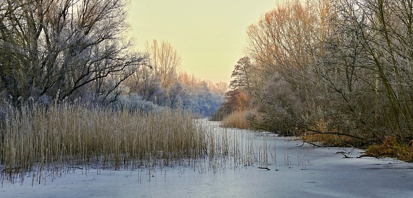 Prognoza pogody na 15 i 16 lutego