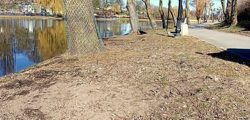 Łobżenica dba o lokalną zieleń. Ruszyła walka ze szkodnikami i zabezpieczanie drze