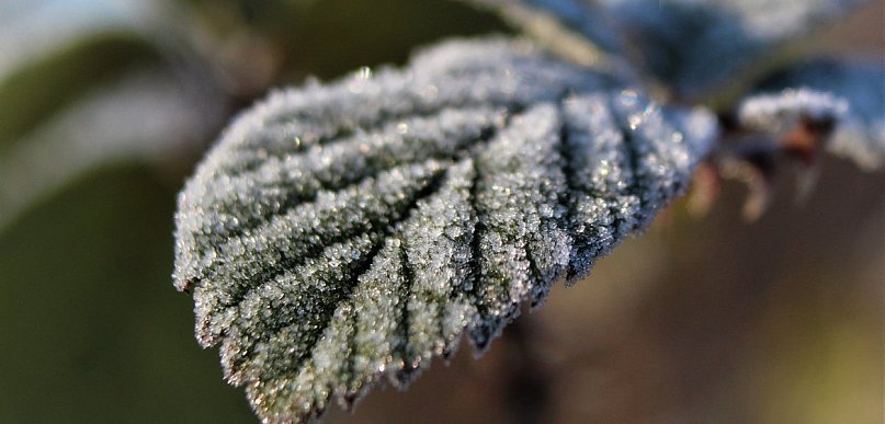 Ostrzeżeniedla powiatu sępoleńskiego (Więcbork, Sępólno Krajeńskie, Kamień Krajeńs