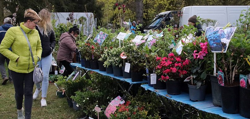 Sukces mimo chłodu. X Powiatowe Targi Ogrodniczo-Rolnicze za nami