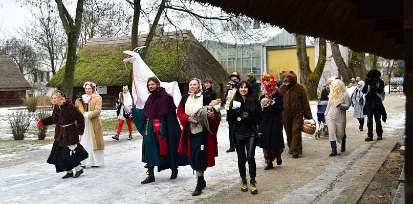 Kujawski pochód z kozą [FOTO]