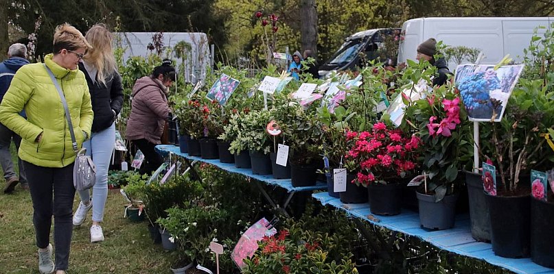 Sukces mimo chłodu. X Powiatowe Targi Ogrodniczo-Rolnicze za nami
