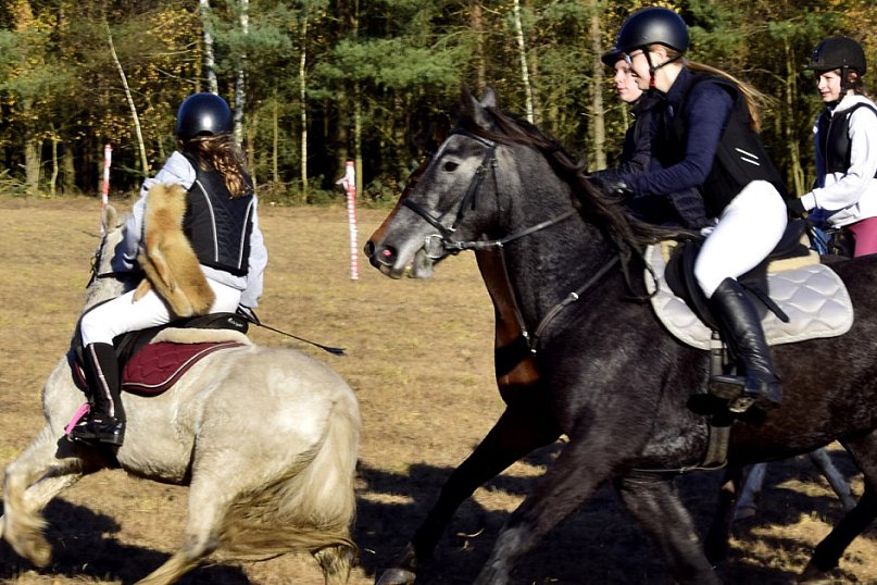 Gmina Więcbork: Hubertus w Sypniewie